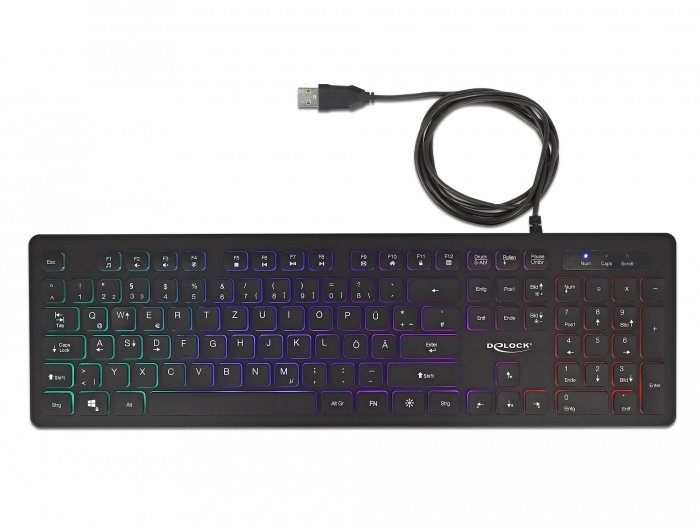 Teclado Aleman Delock Usb  1,5 M Negro