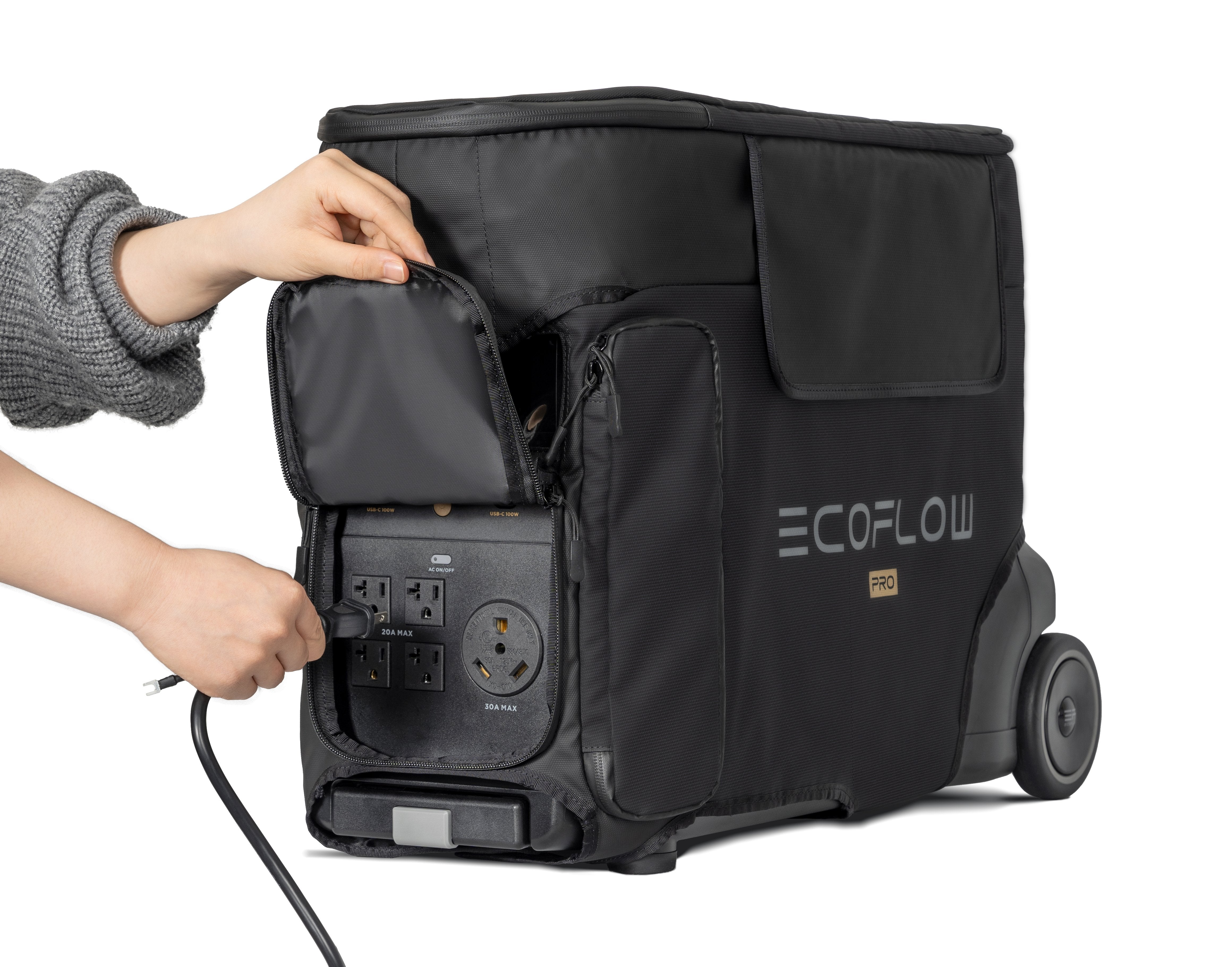 Bolsa De Transporte Protectora Ecoflow Delta Pro