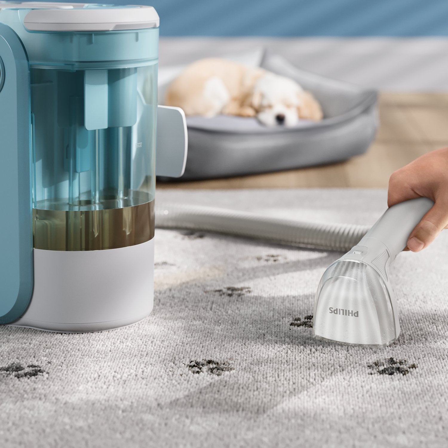 EAN 8720389047718 - Philips 3000 series XW3193/11 aspiradora Aspiradora cilíndrica Húmedo 400 W Sin bolsa imagen 6