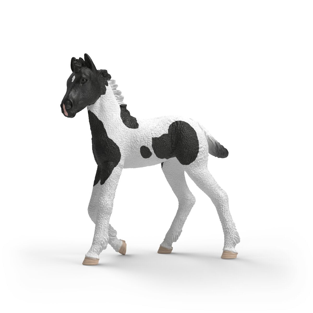 Schleich Horse Club Sammelfohlen Rocky 81481
