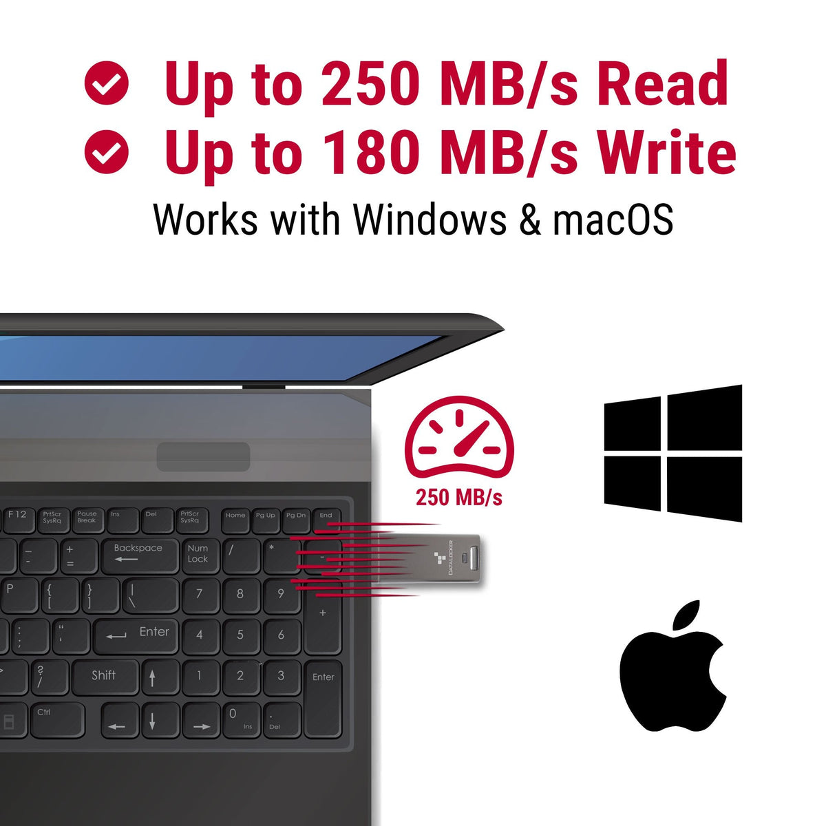 Datalocker Dl Go 256bit - Flash-Memoria - Sin Clasificar Dlgo-004 - Flash-Memoria - Sin Clasificar