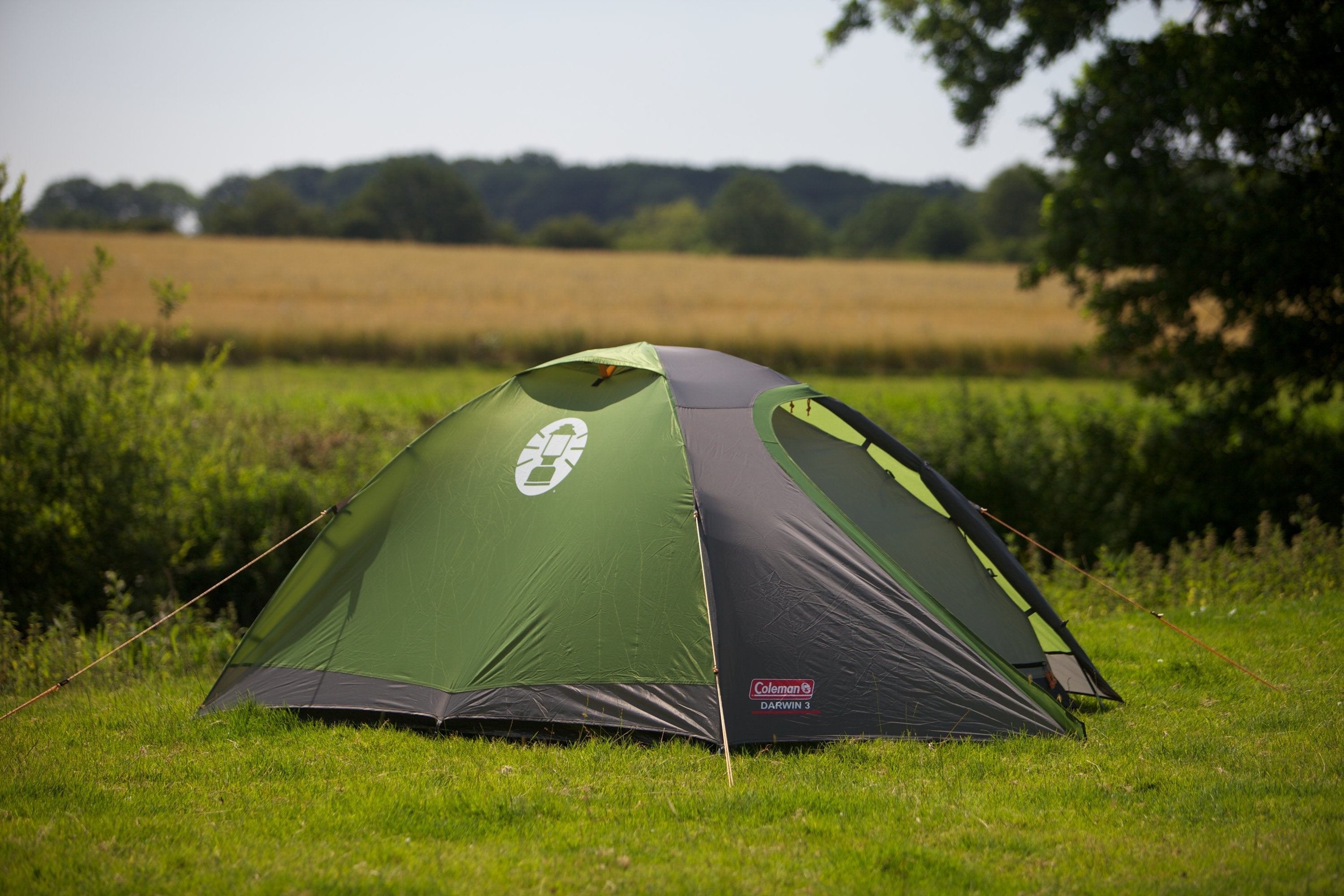 Tienda Coleman Darwin 3 Dome Para 3 Personas 2176901