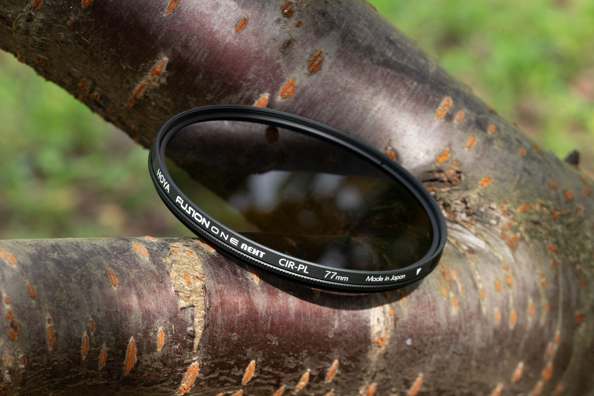 Hoya Filter Circular Polarizer Fusion One Next 52mm