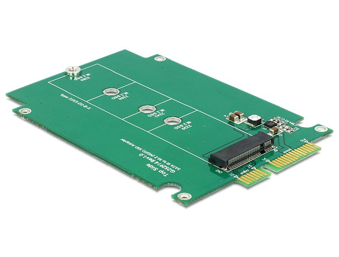 Delock 2.5" Convertidor Sata 22 Pin > M.2 Ngff