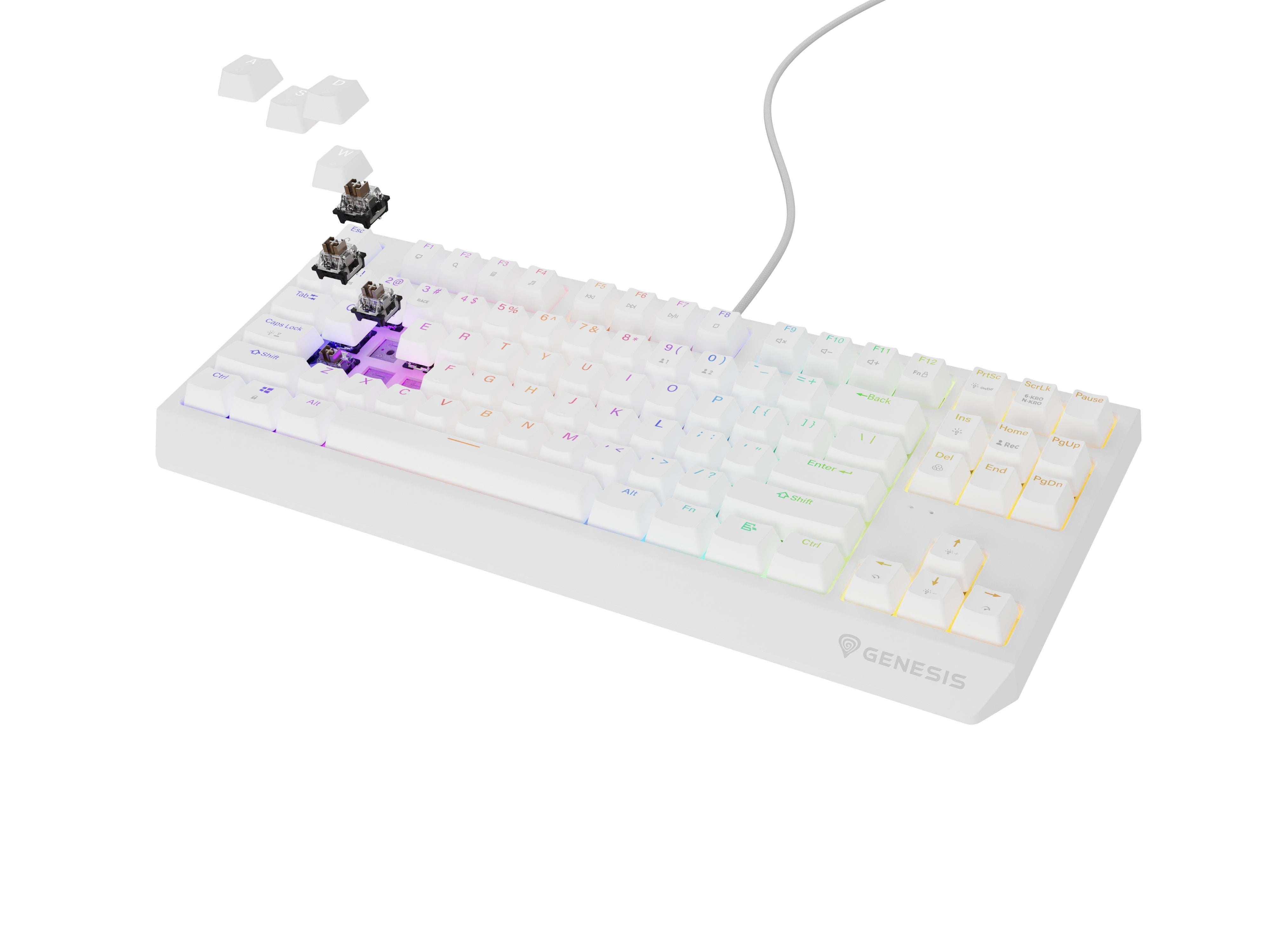 Genesis Thor 230 Tkl Biala Rgb Outemu Brown