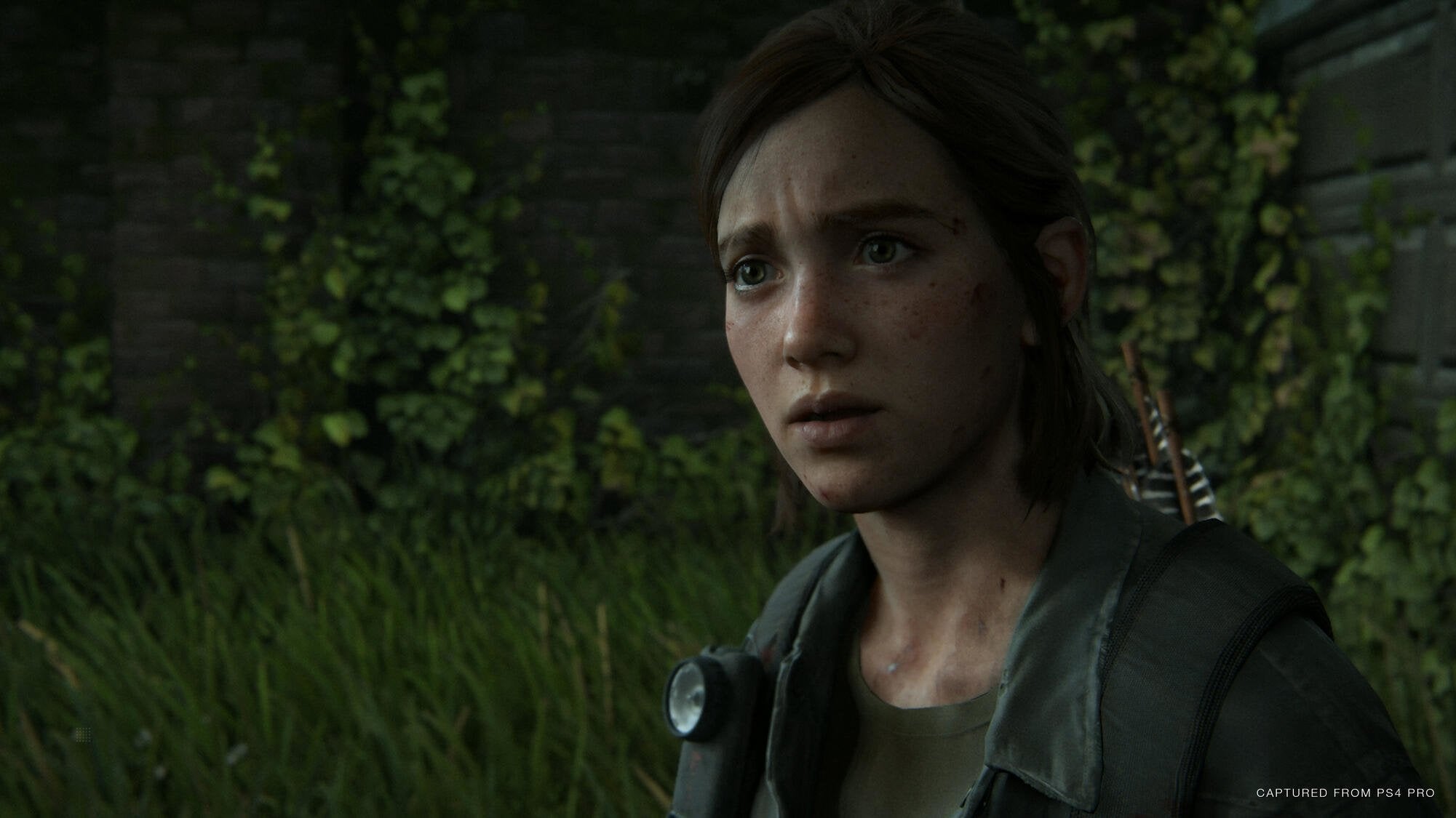 Videojuego Para Ps4 The Last Of Us Parte 2
