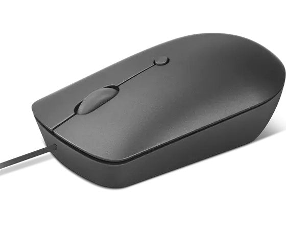 Ratón Compacto Con Cable Lenovo 540 Usb-C (Gris Tormenta)