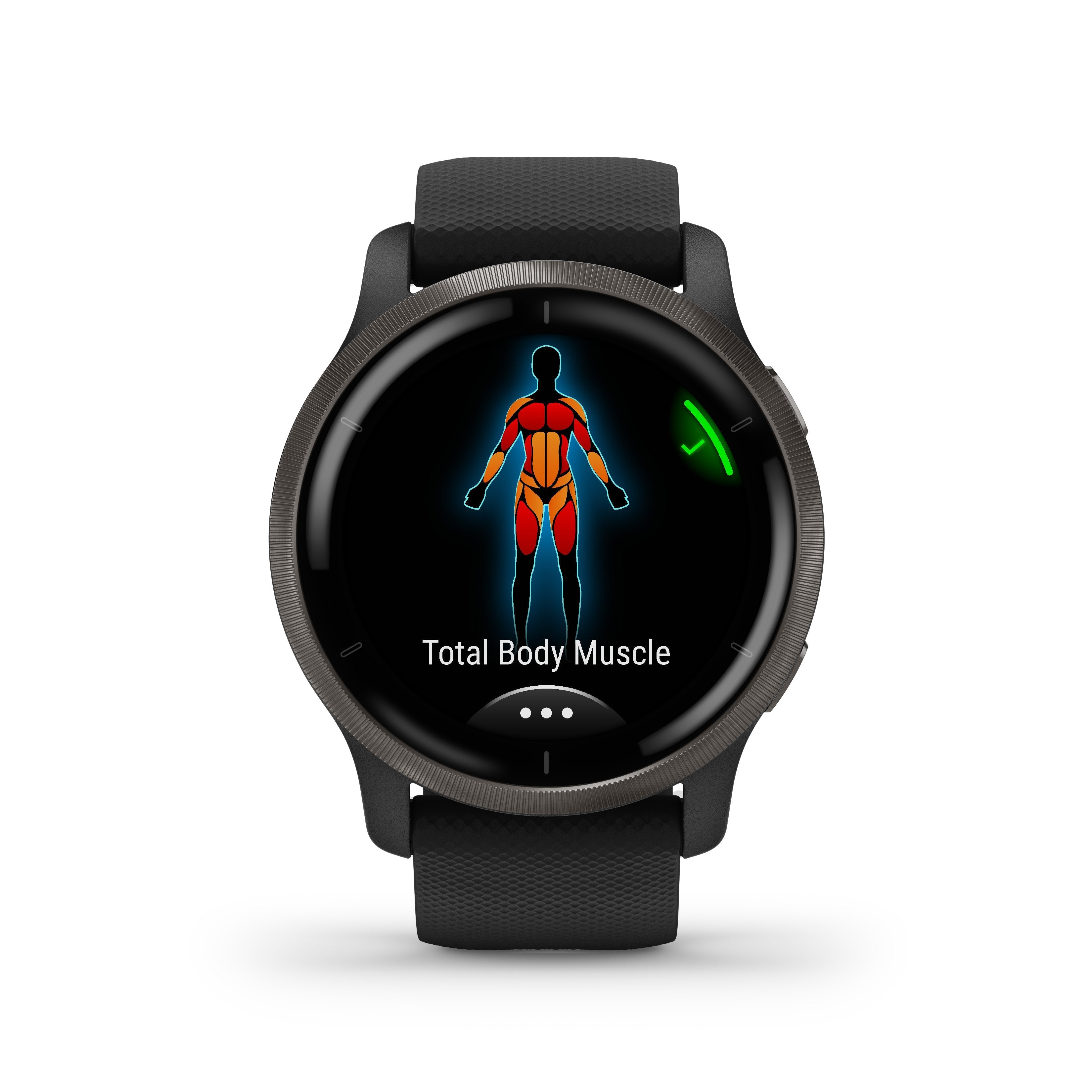 Garmin Venu 2 Negro/Pizarra Smartwatch Multideporte Wifi Gps Integrado Frecuencia Actividad Sueño 45 Mm