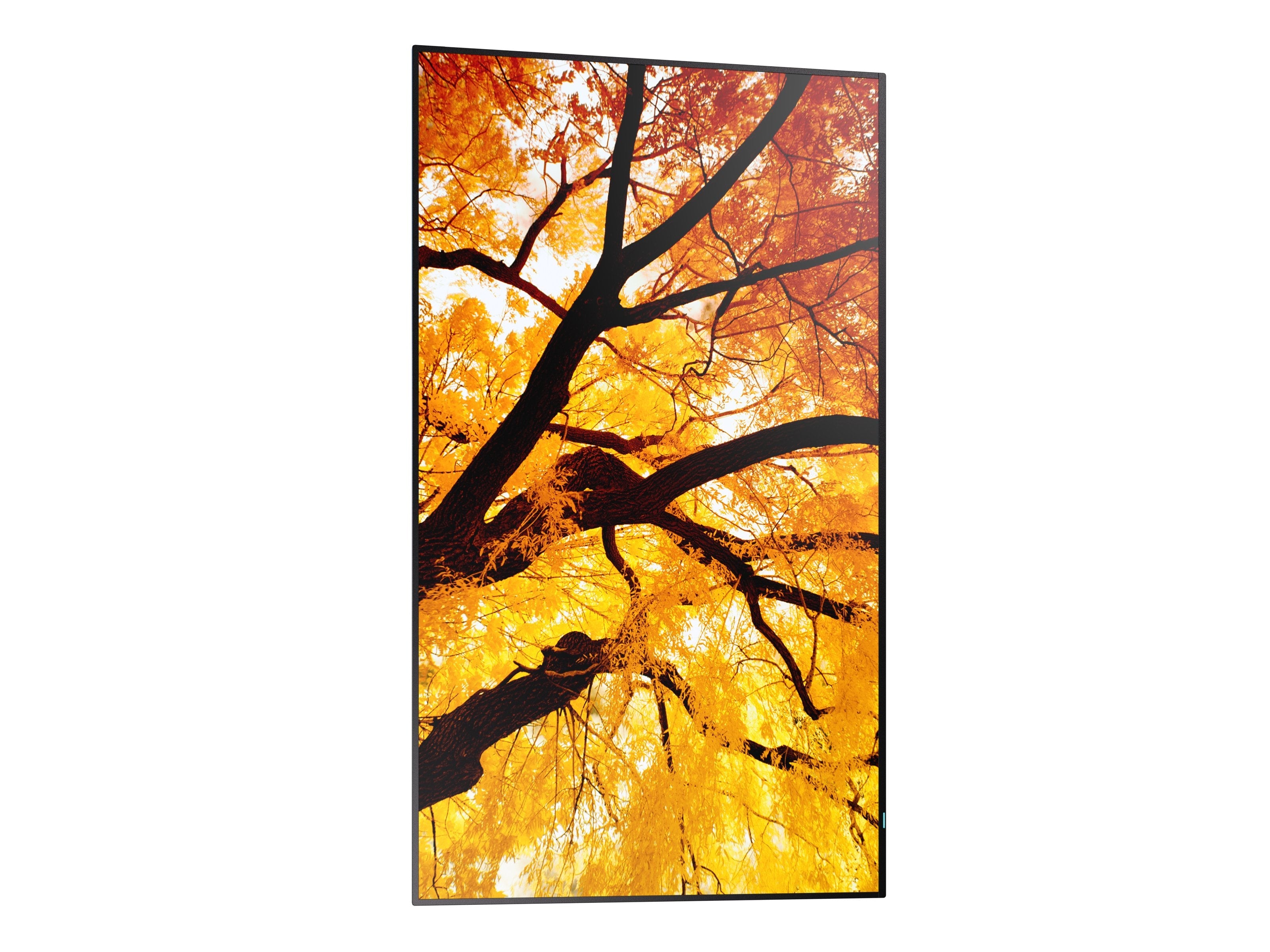 Sharp Multisync M982 Panel Plano Interactivo 2,48 M (97.5") Led 550 Cd / M² 4k Ultra Hd Negro 24/7