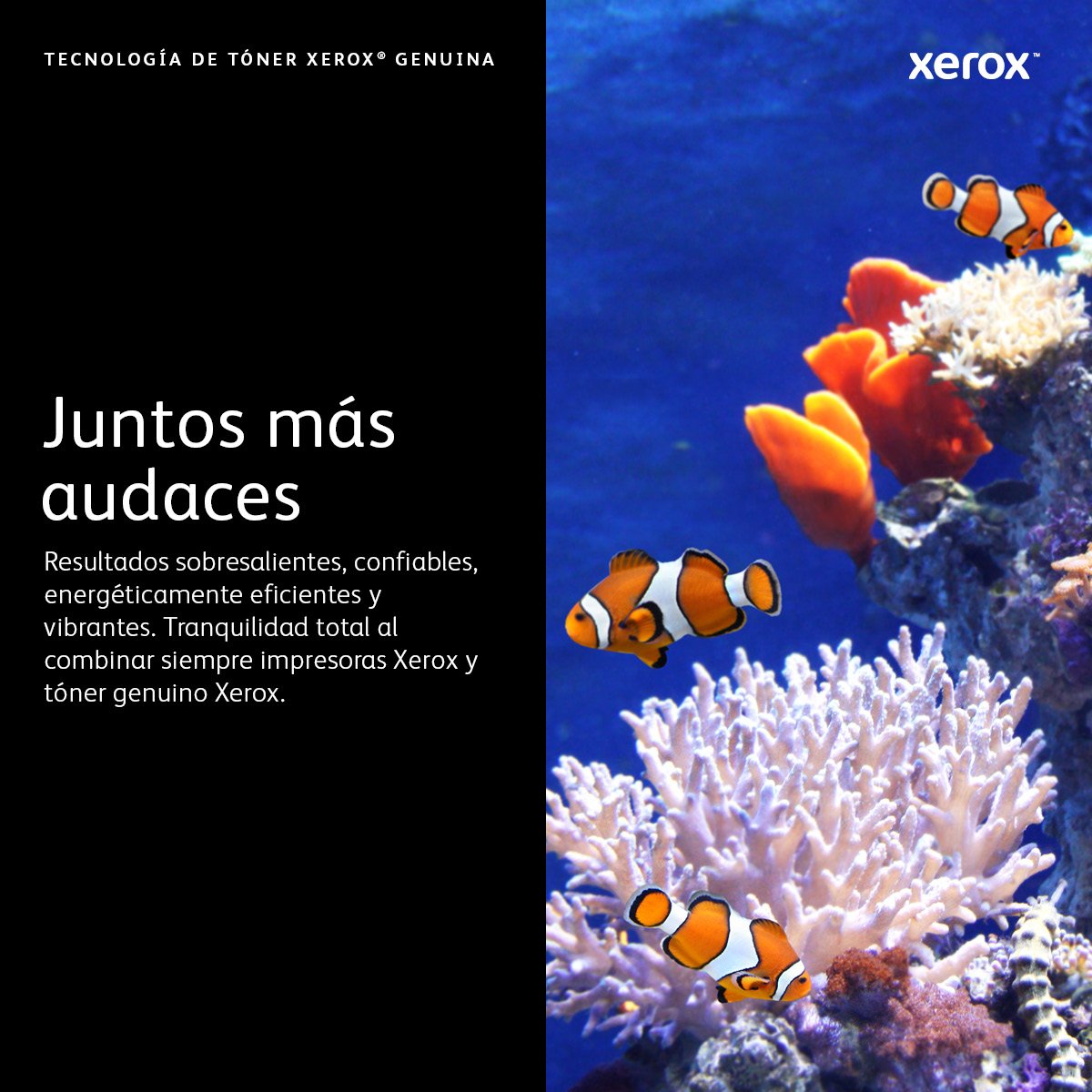 EAN 0095205507744 - Xerox 106R02740 cartucho de tóner 1 pieza(s) Original imagen 11