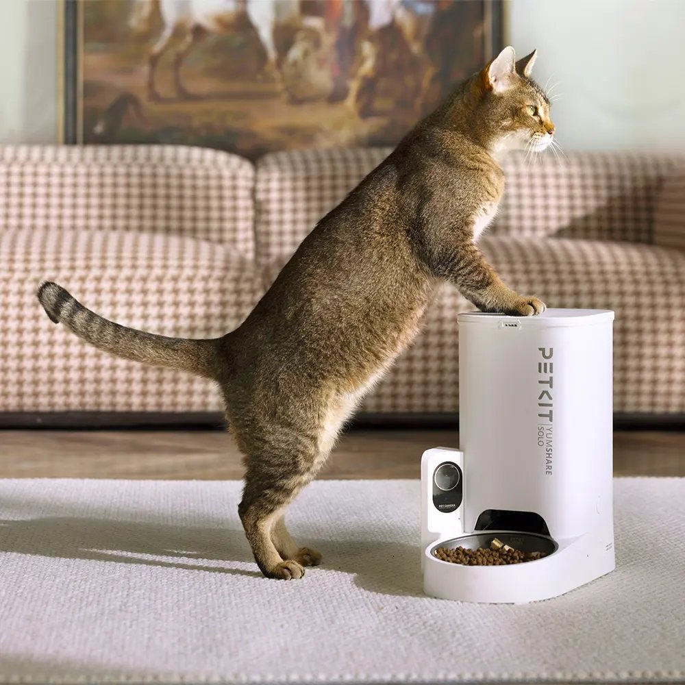 EAN 6975069302768 - PETKIT YUMSHARE Solo comedero y bebedero para perro y gato Acrilonitrilo butadieno estireno (ABS) Blanco  imagen 8