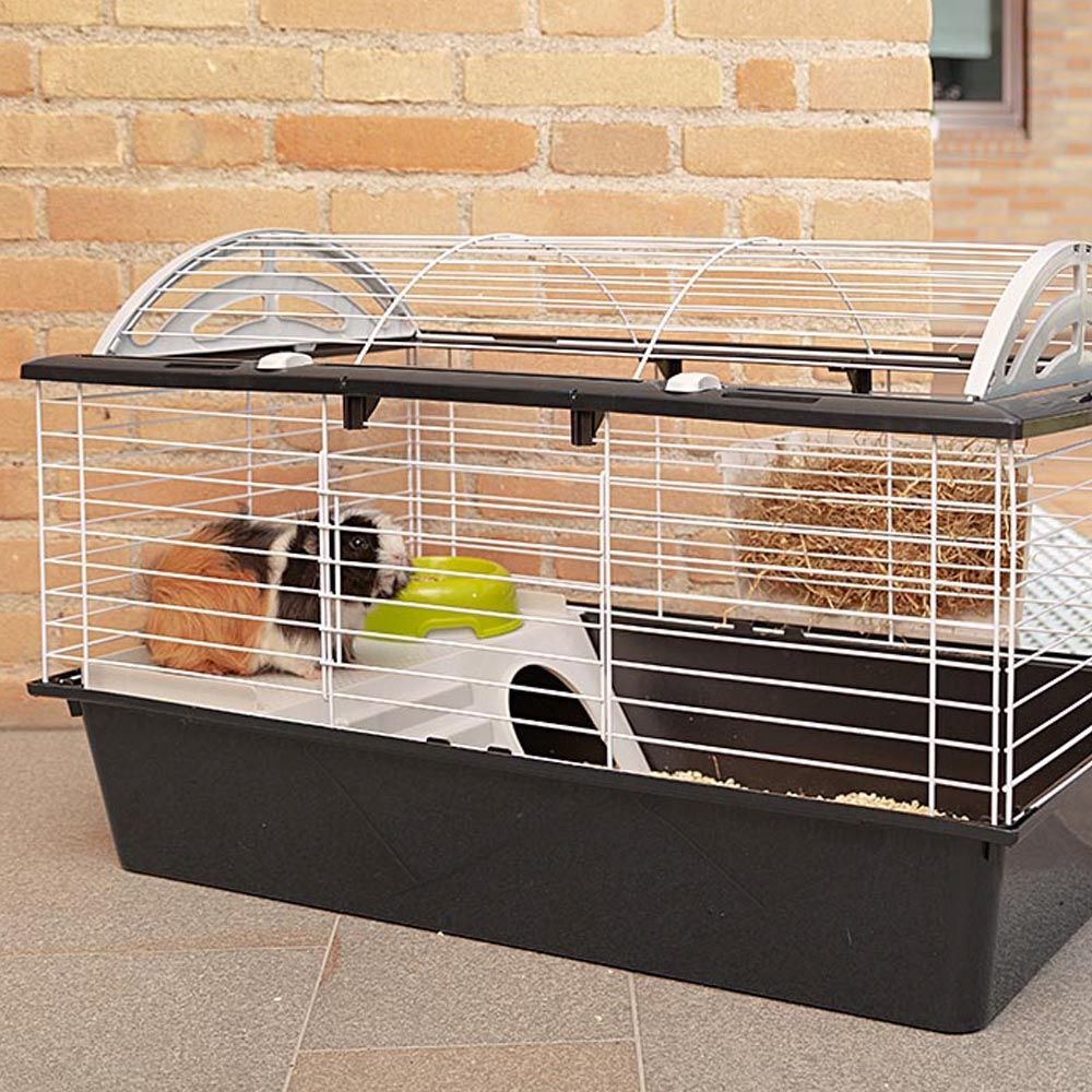 EAN 8010690092546 - Ferplast Casita 80 Cobaya Negro, Blanco imagen 2