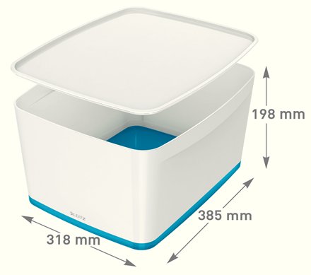 Esselte Leitz Mybox Large - Caja De Almacenamiento - Para A4 (210 X 297 Mm)