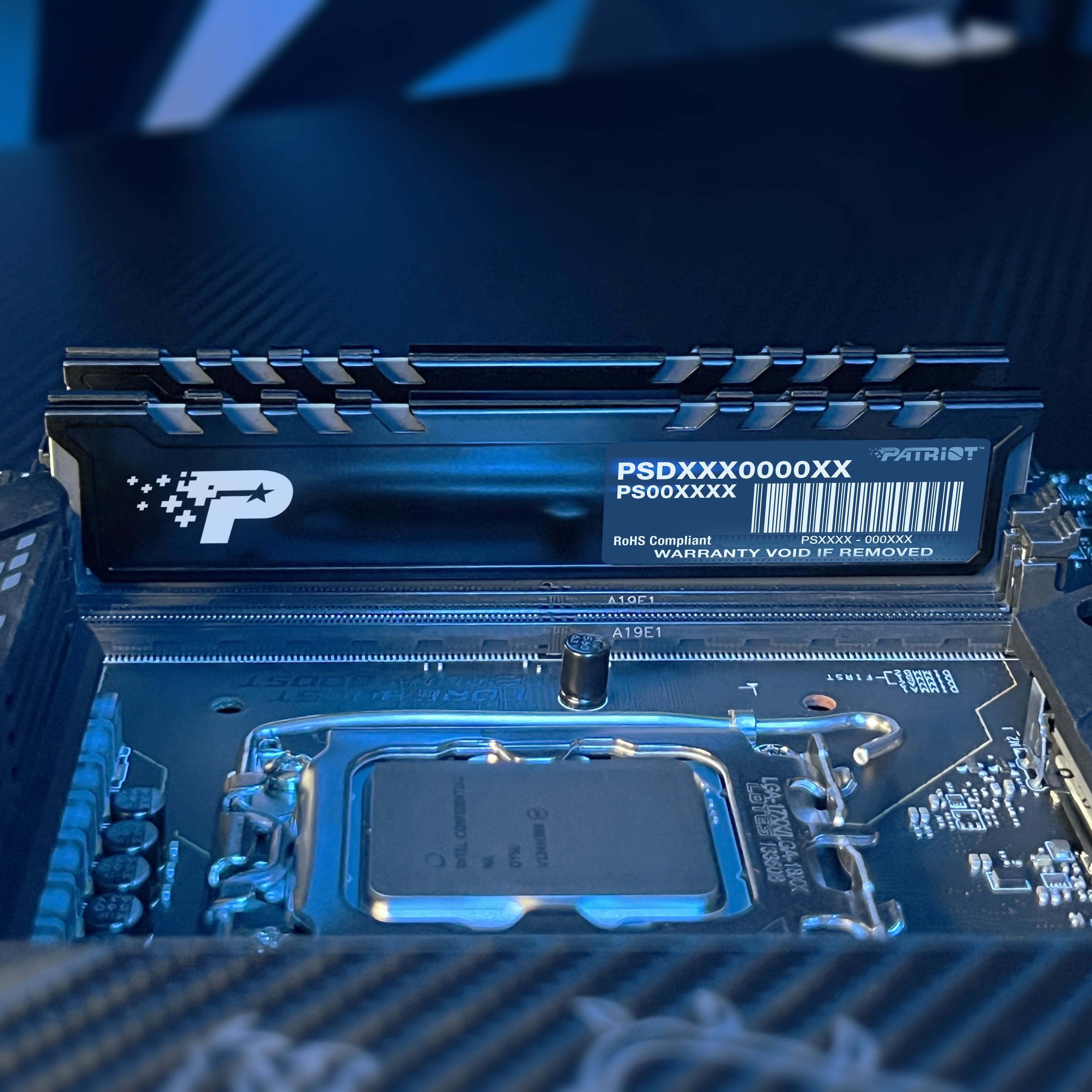 Patriot Memory Signature Line Premium Psp548g56002h1 Módulo De Memoria 16 Gb 1 X 16 Gb Ddr5 5600 Mt/S 288-Pin Dimm