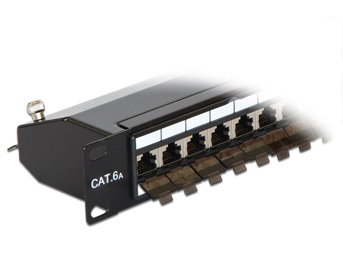Delock 19" Patch Panel 24-Port Cat6a Negro Protegido