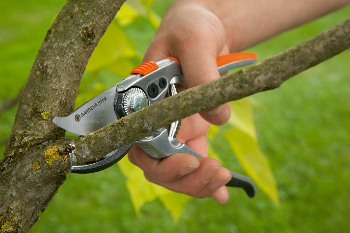 Gardena Premium Bp 50 Tijeras De Podar Evitar Negro / Naranja