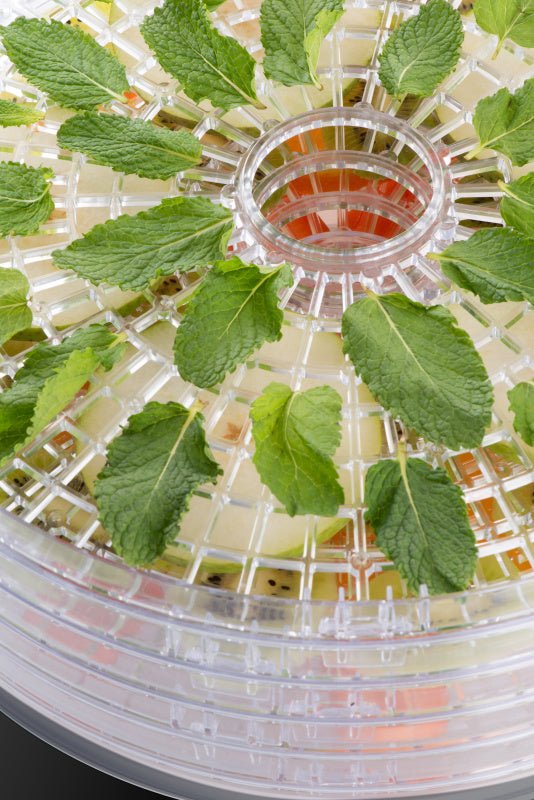 EAN 8590393377503 - Eta SECCA Negro, Transparente 380 W imagen 12