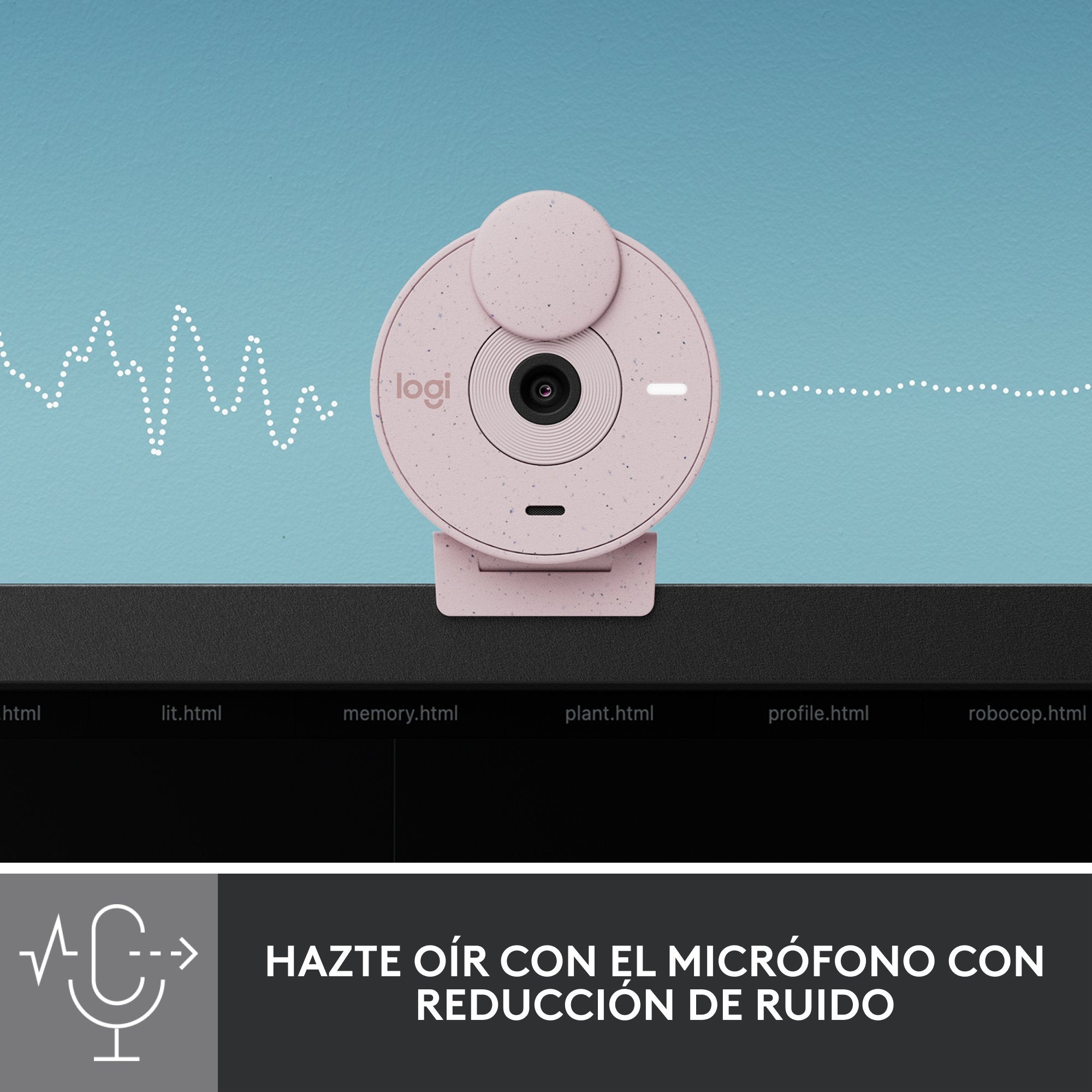 Logitech Brio 300 Cámara Web 2 Mp 1920 X 1080 Pixeles Usb-C Rosa