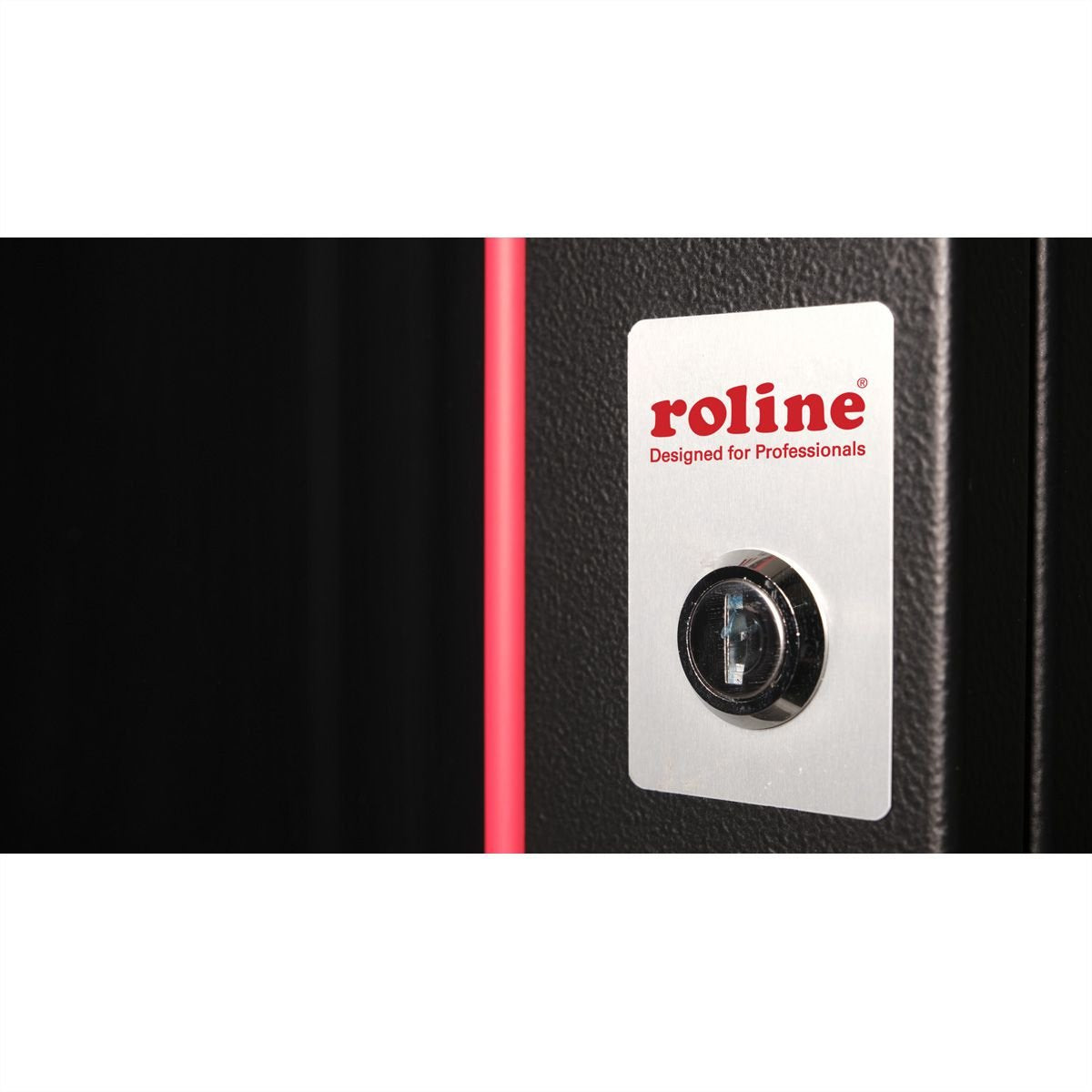 Roline 19-Zoll Wandgehuse Pro 12 He, 600x600 Bxt Schwarz