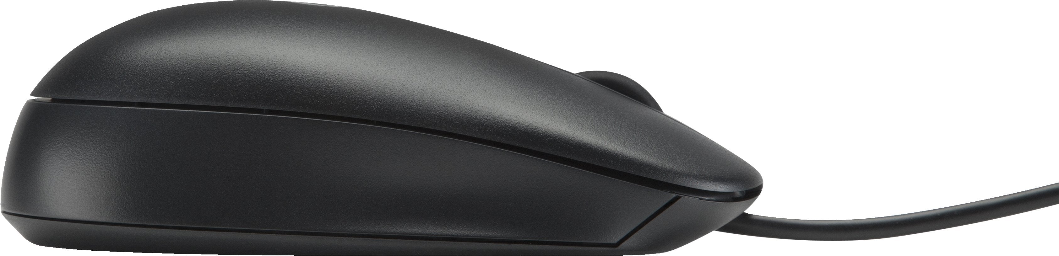 Hp Ratón Óptico Usb 2.9m Negro, Óptico, Usb Tipo A, Negro
