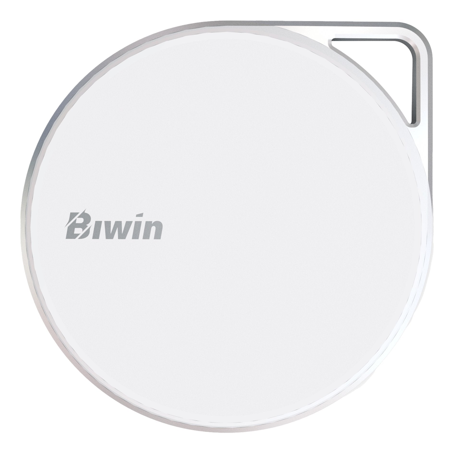 EAN 6955914639133 - Biwin PM2000 512 GB USB Tipo C USB 3.2 Gen 2x2 Blanco imagen 1