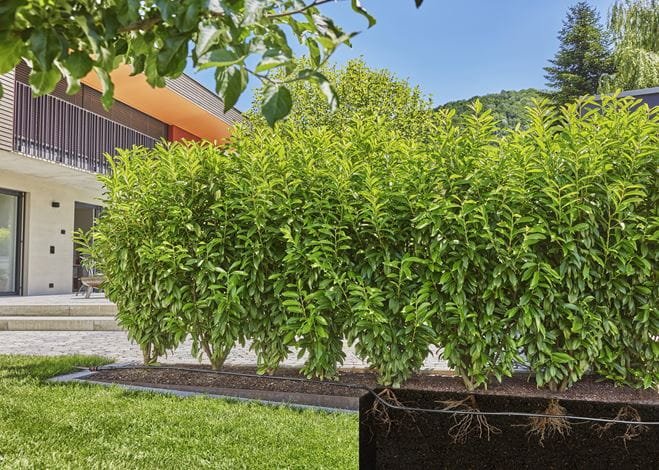 EAN 4066407003033 - Gardena 13503-20 manguera de jardín 25 m Bajo tierra Negro imagen 3