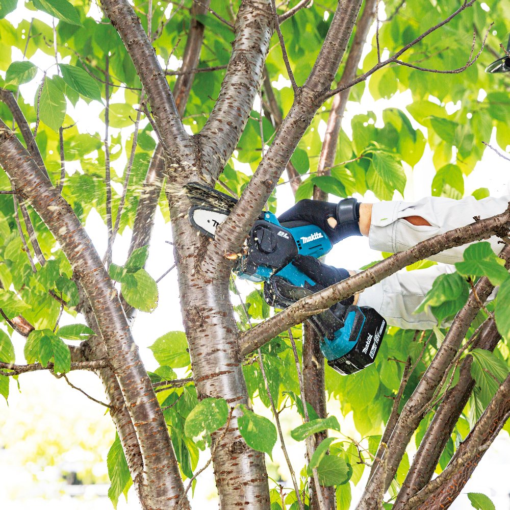 Makita Duc101z Akku-Astsaege