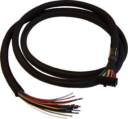 Cradlepoint Gpio-Cable - Molex, 20-Polos, Zweireihig