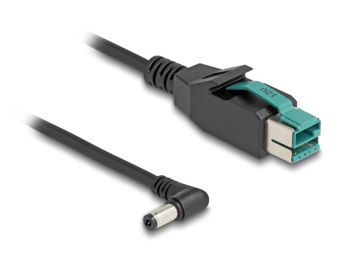Delock 80012 Cable Poweredusb Macho 12 V A Dc 5,5 X 2,1 Mm Macho Sesgado 2 M