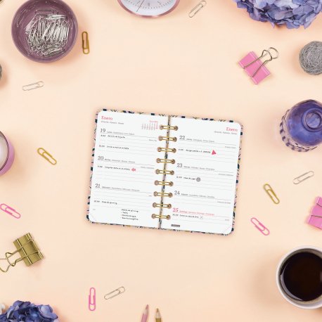 EAN 8422952405498 - Finocam 760102826 agenda Agenda semanal Multicolor imagen 3