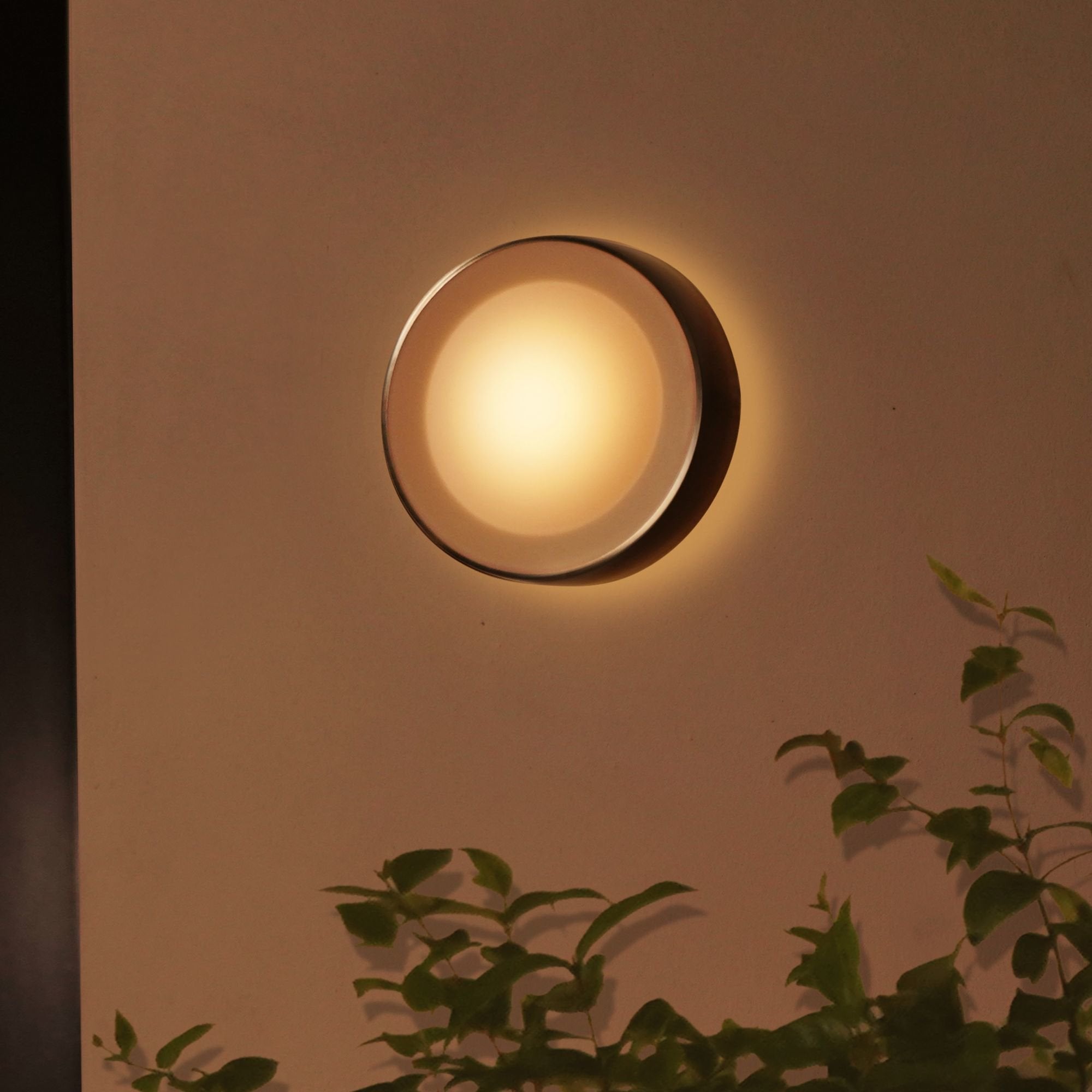 Philips Hue White And Color Ambiance Aplique Mural Para Exteriores Daylo