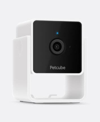 EAN 0854592007394 - Petcube Cam Caja Cámara de seguridad IP Interior 1920 x 1080 Pixeles Techo/Pared/Escritorio imagen 1