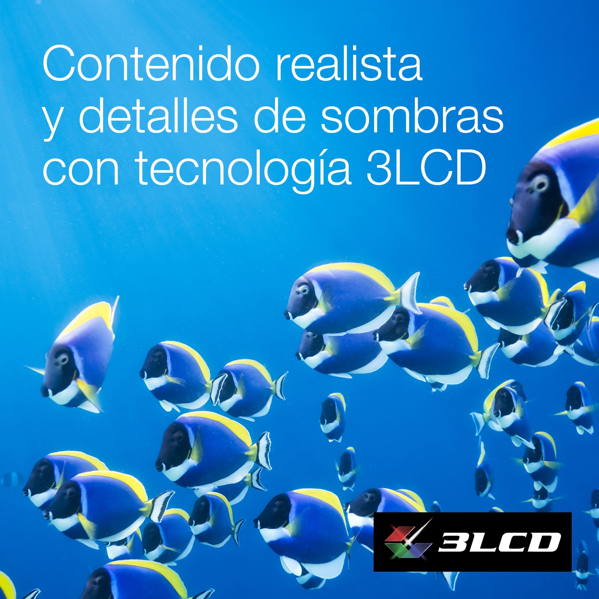 EAN 8715946706832 - Epson CO-FH02 imagen 8