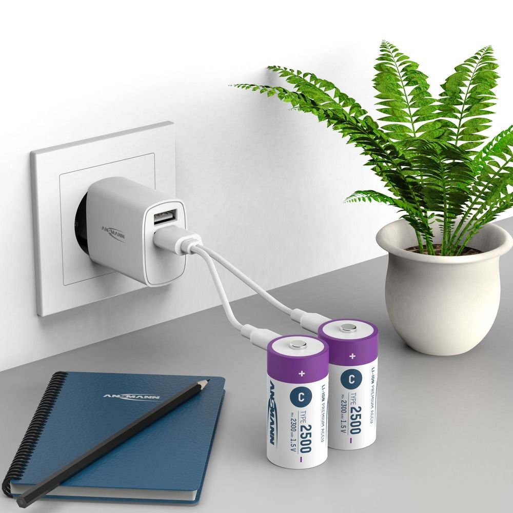 Ansmann 1313-0004 Baterías Recargables Li-Ion Baby C Tipo 2500 (Min. 2300 Mah) Pack 2
