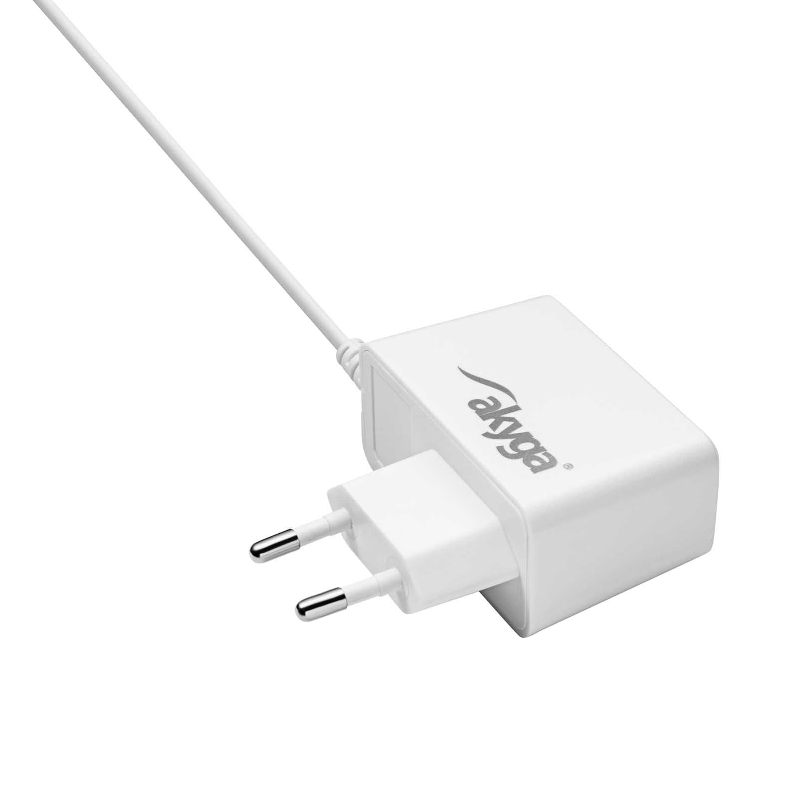 Akyga Dedicated Power Adapter Ak-Pd-04 4.7v 300ma 1.41w Philips Satinelle Plug