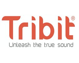 EAN 6972312838371 - Tribit T-BTS65 altavoz Bluetooth mano libres Negro 5.3 imagen 1