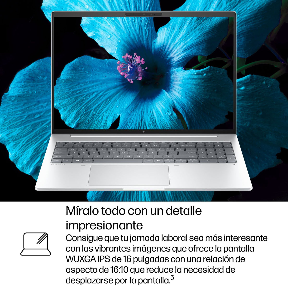 EAN 0199485522487 - HP EliteBook 8 G1i AI PC Wolf Pro Security Edition Intel Core Ultra 7 255H Portátil 40,6 cm (16") WUXGA 6 imagen 13