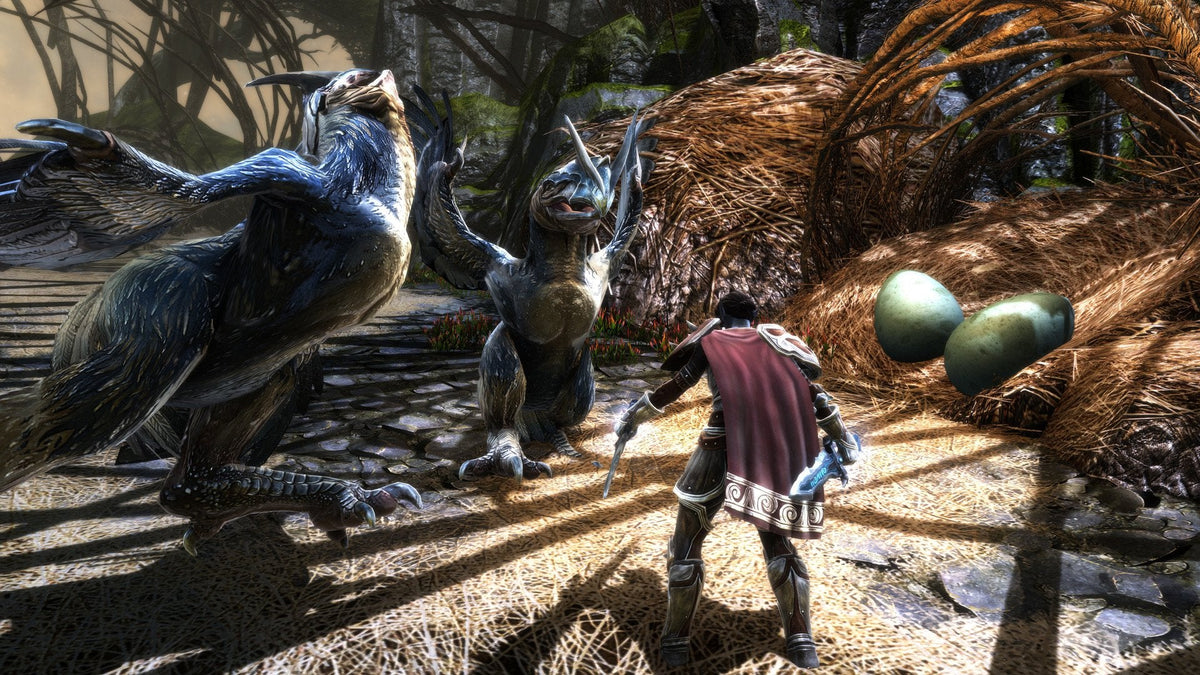 Juego Kingdoms Of Amalur Re-Reckoning Switch