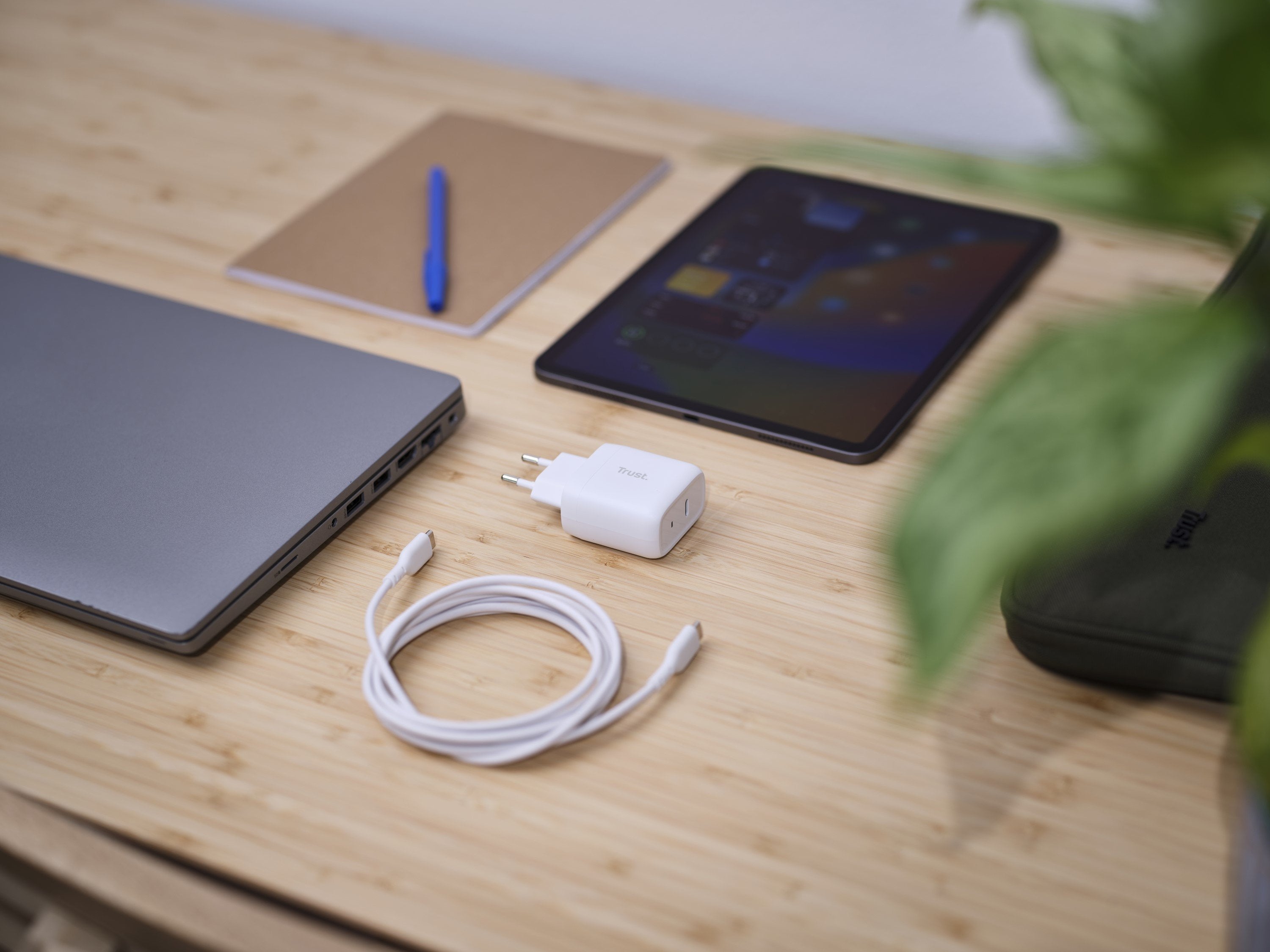 Cargador De Pared Trust Maxo 45w 1xusb Tipo-C 45w