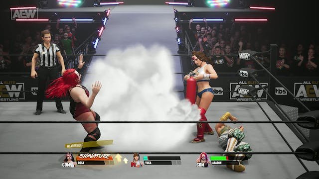All Elite Wrestling Fight Forever