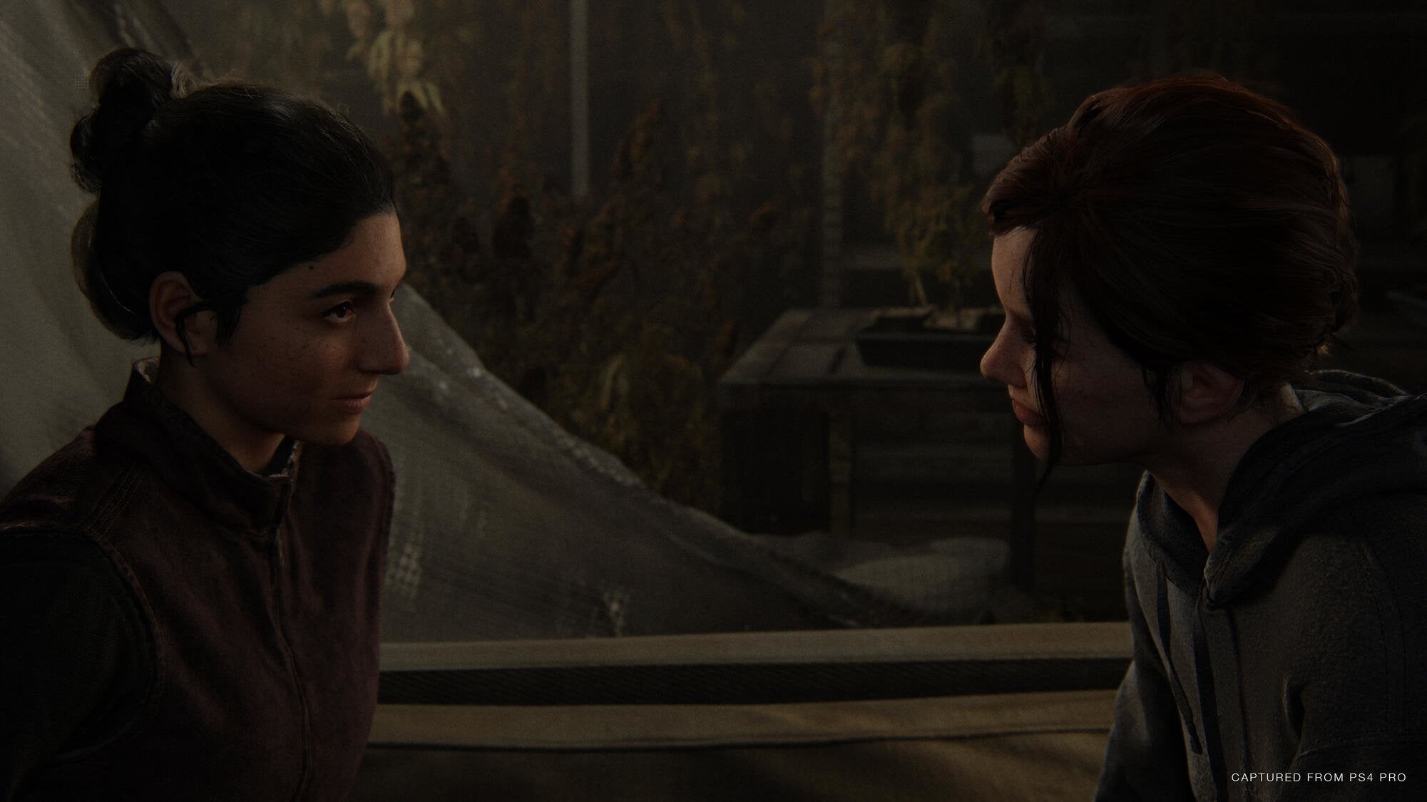Videojuego Para Ps4 The Last Of Us Parte 2