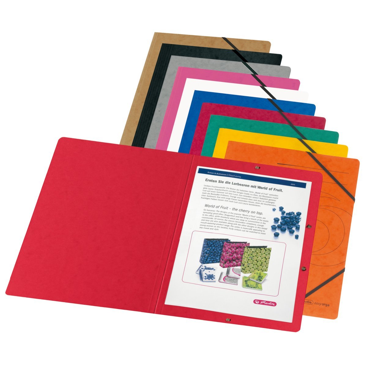 Herlitz 11166816 Carpeta Cartón Colores Surtidos A4