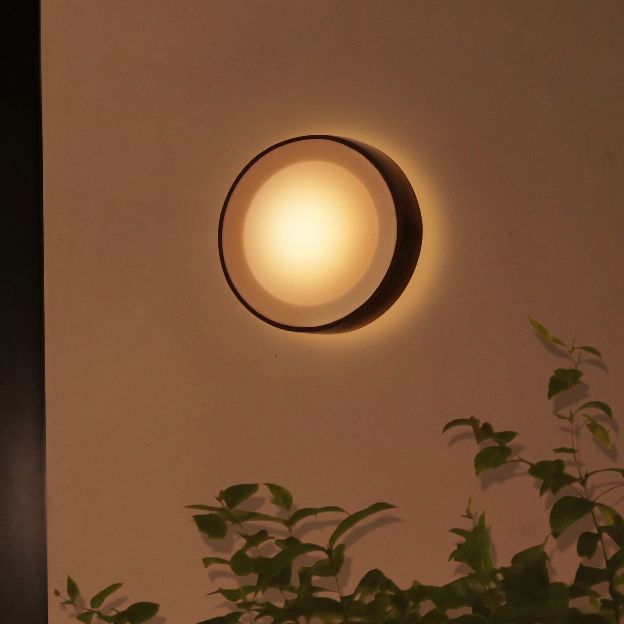 Philips Hue White And Color Ambiance Aplique Mural Para Exteriores Daylo