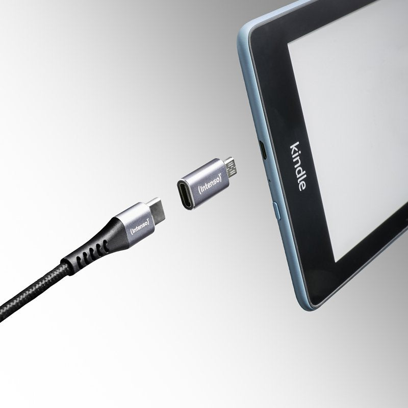 EAN 4034303038152 - Intenso 7600913 cambiador de género para cable Gris imagen 13