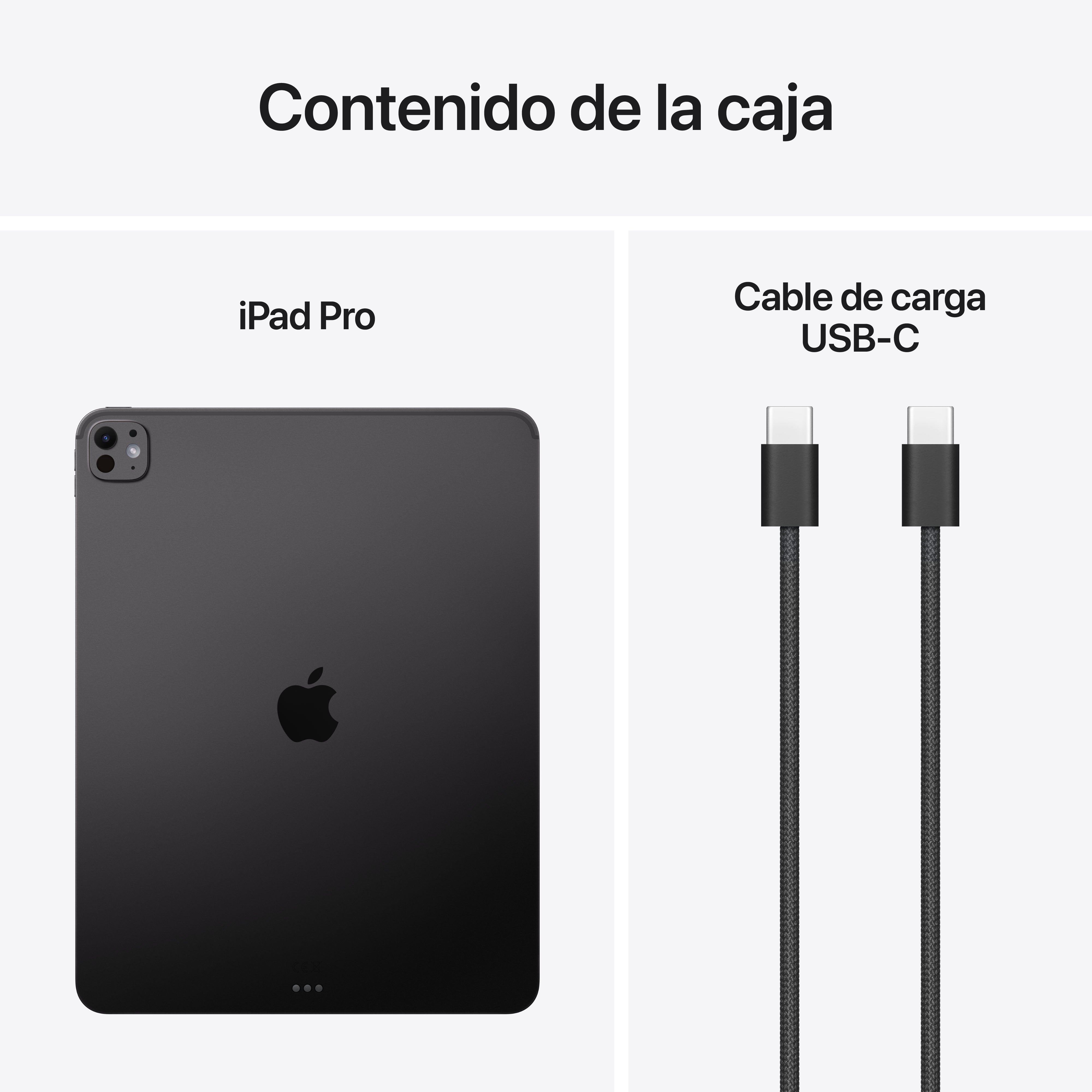 EAN 0195950399929 - Apple iPad Pro Apple M 2 TB 33 cm (13") 16 GB Wi-Fi 7 (802.11be) iPadOS 26 Negro imagen 9