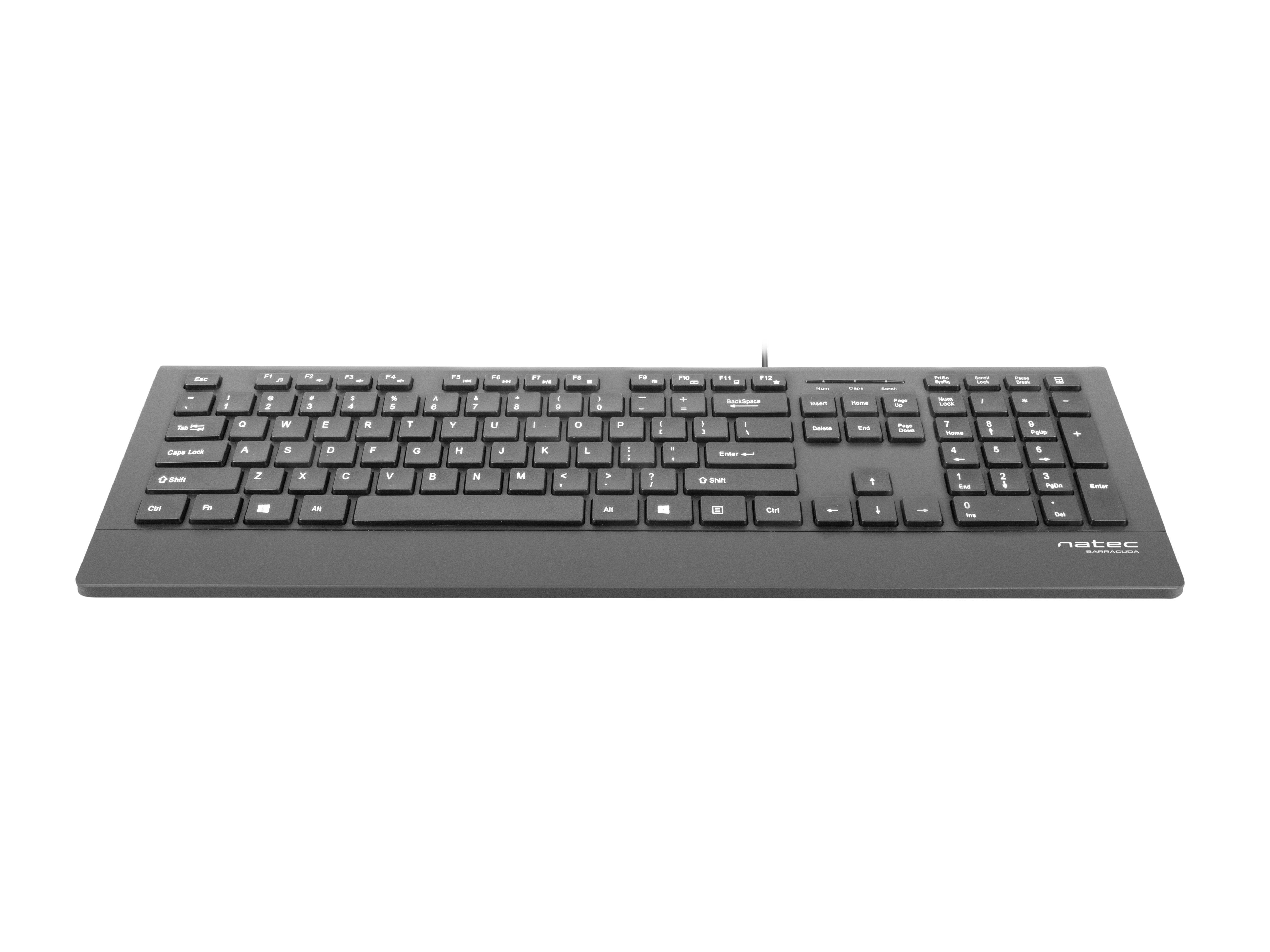 Teclado Natec Barracuda Slim Layout Español