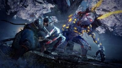 Ps4 Nioh 2