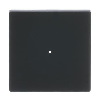 Busch Jaeger Bj 6230-10-885 Wippe 1f Schwarz Matt Busch-Free@Home Future Linear