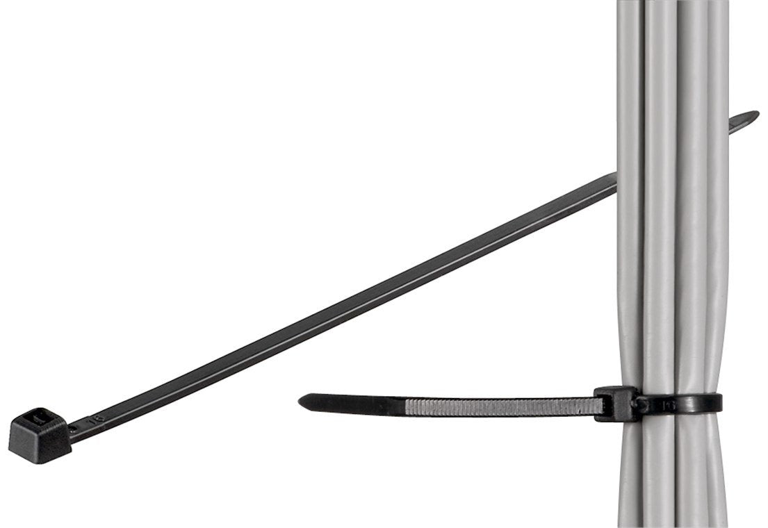 EAN 4040849170690 - Goobay 17069 presilla Brida de nailon Nylon Negro 100 pieza(s) imagen 1