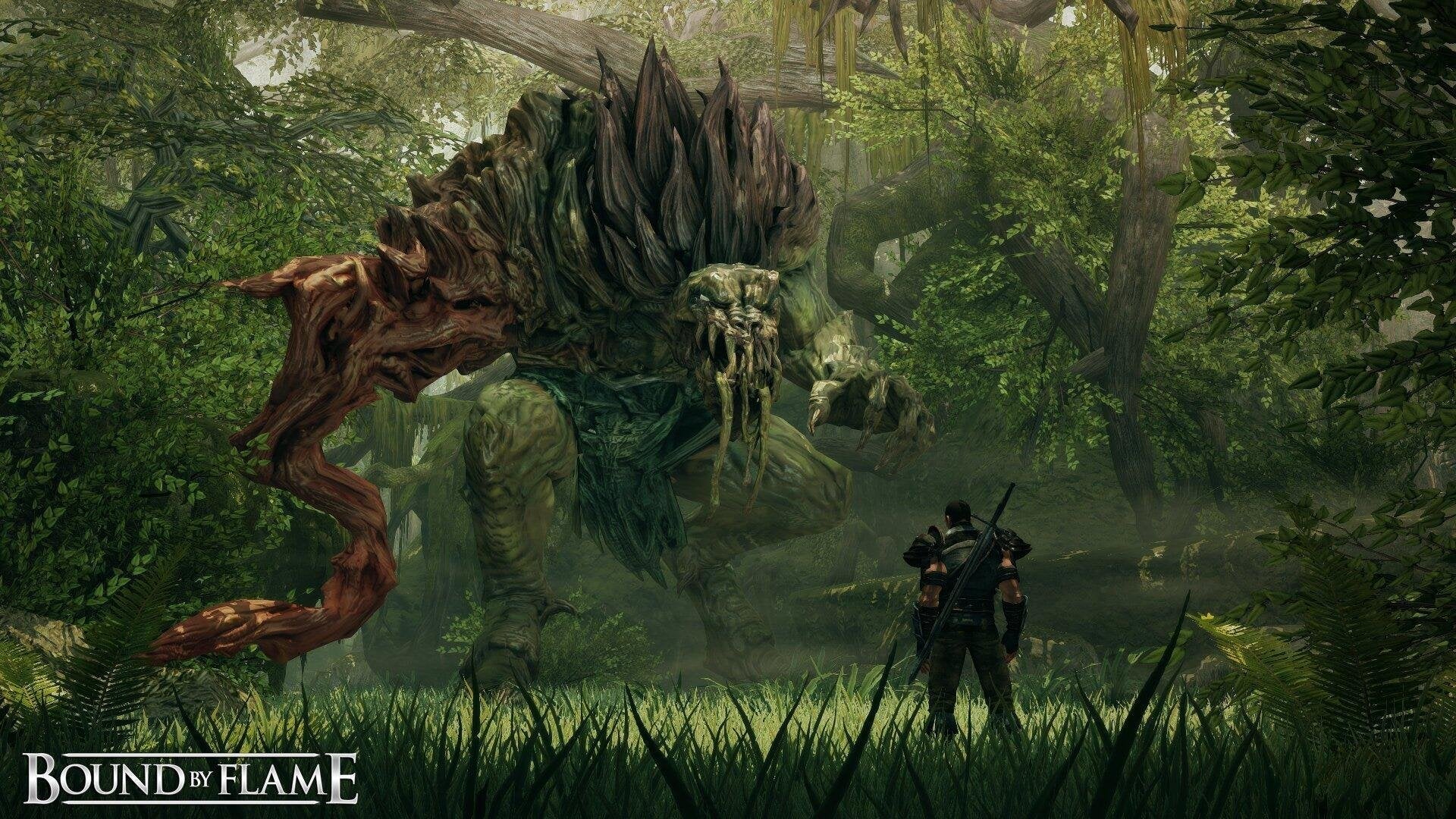 Juego Bound By Flame Pc